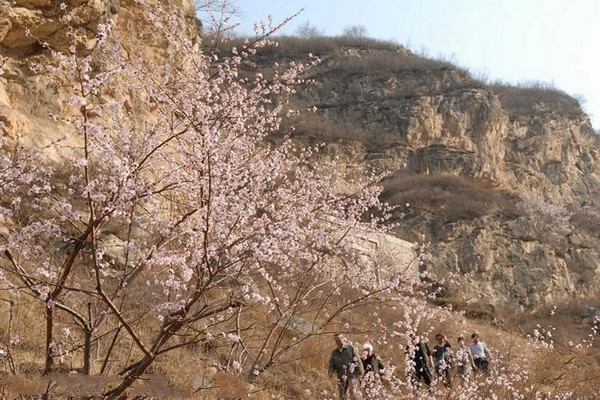 大同灵丘桃花山旅游攻略