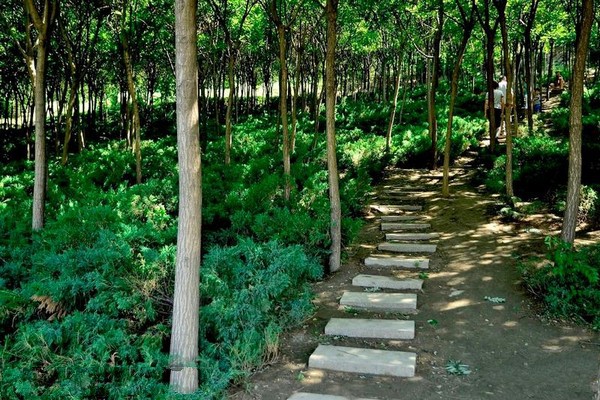 天津南翠屏公园旅游攻略