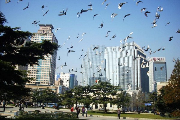 大连中山广场旅游攻略