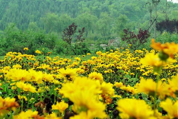 天津南翠屏公园旅游攻略