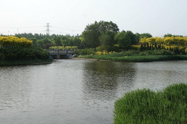 天津临港生态湿地公园旅游攻略