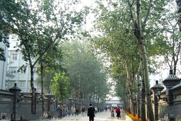 天津北宁公园旅游攻略