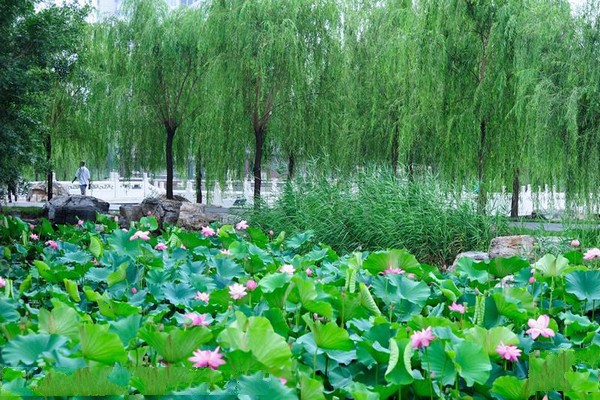 天津北宁公园旅游攻略