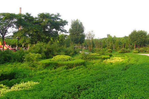 天津河东公园旅游攻略