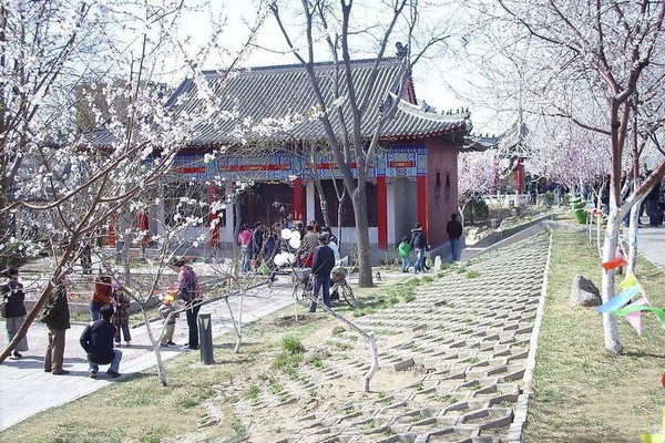 天津桃花园堤旅游攻略
