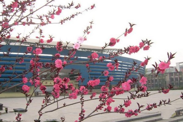 天津大学旅游攻略