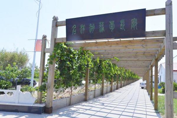 天津名洋湖都市庄园旅游攻略