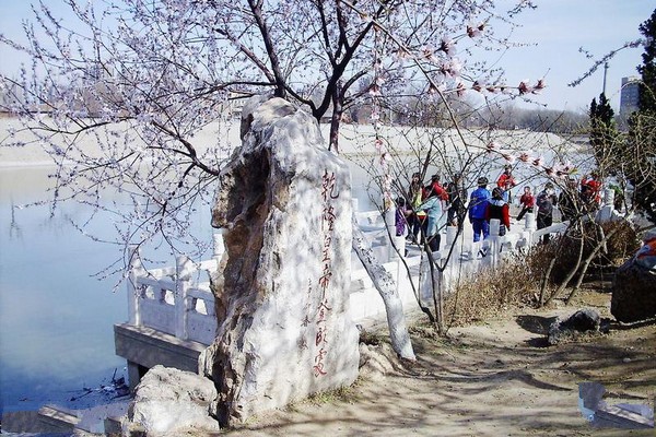 天津桃花园堤旅游攻略
