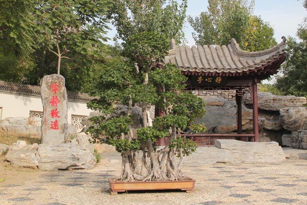 天津宁园旅游攻略