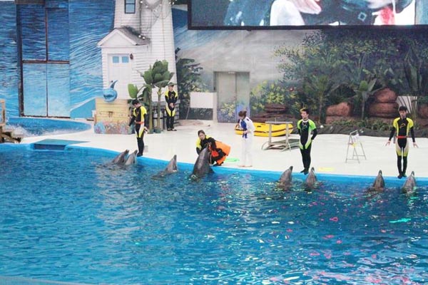 天津海昌极地海洋公园旅游攻略