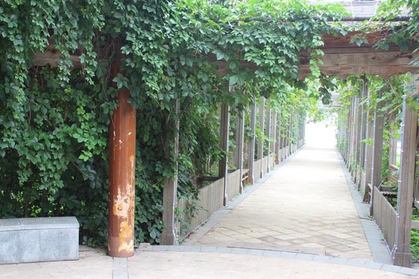 天津水高庄园旅游攻略