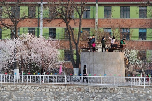 天津桃花园堤旅游攻略