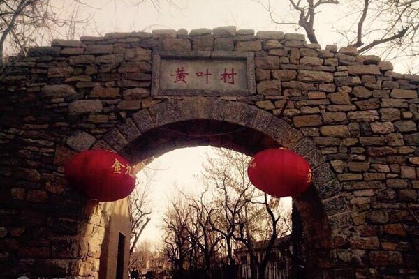 天津西沽公园旅游攻略