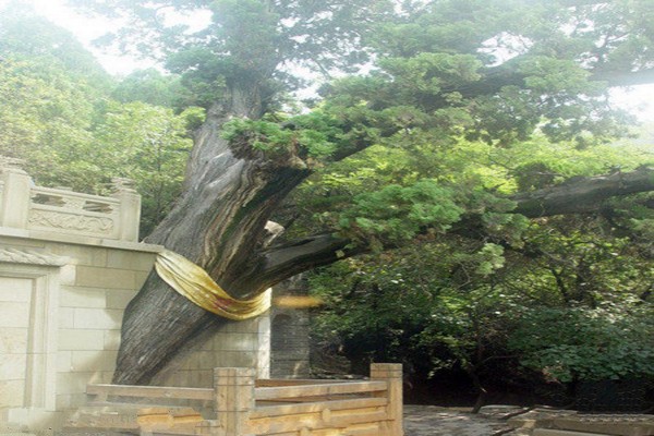 太原太山旅游攻略