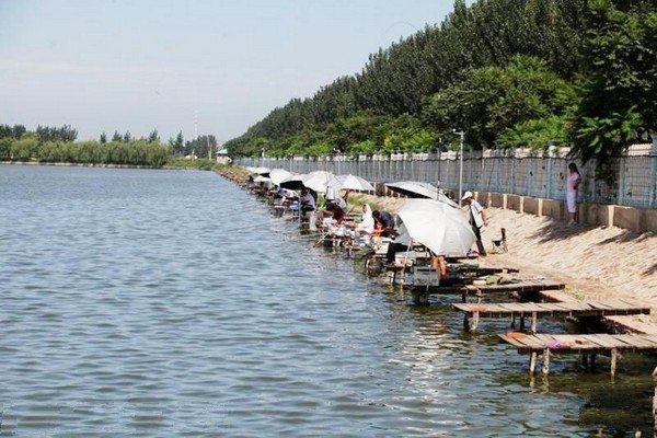 天津燕王湖湿地生态园旅游攻略