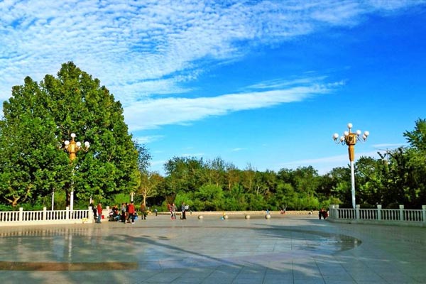 天津西沽公园旅游攻略