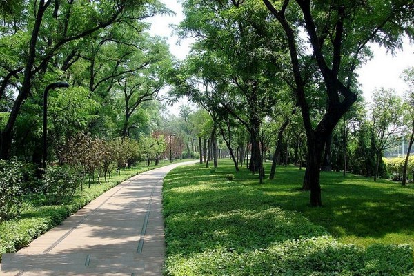天津绿道公园旅游攻略