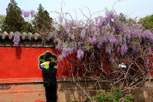 太原双塔寺旅游攻略