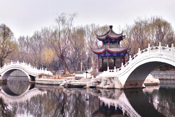 天津西沽公园旅游攻略