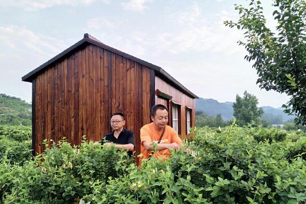天津郭家沟景区旅游攻略