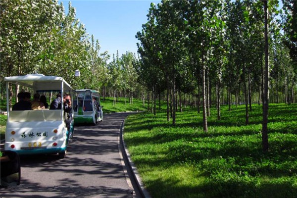 孝义胜溪湖森林公园旅游攻略