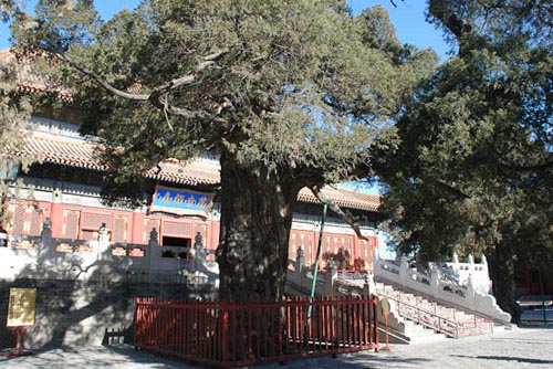 孔庙和国子监博物馆旅游攻略