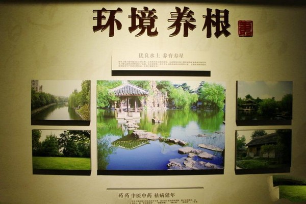 如皋中国长寿城景区旅游攻略