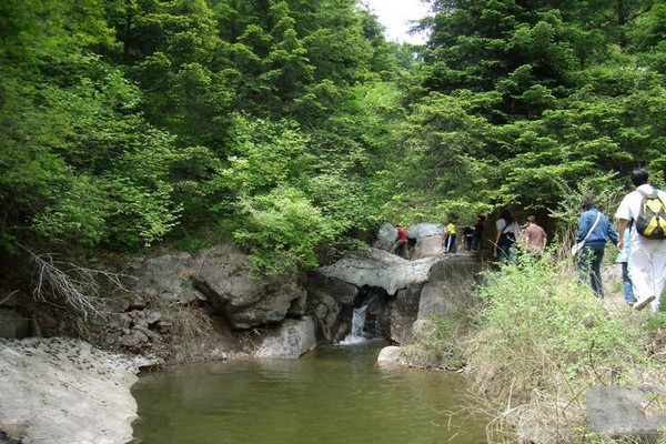 宁武管涔山国家森林公园旅游攻略