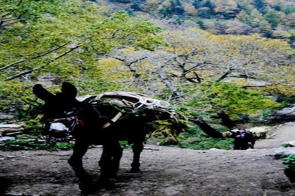 宁武悬空村旅游攻略