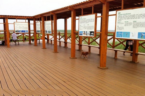 宁河七里海国家湿地公园旅游攻略