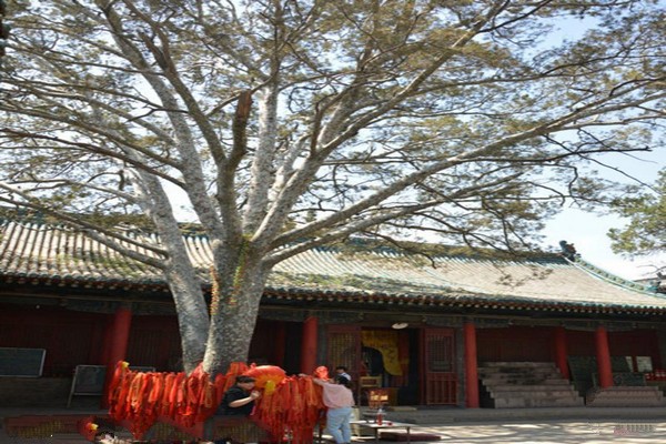 太原白云寺旅游攻略