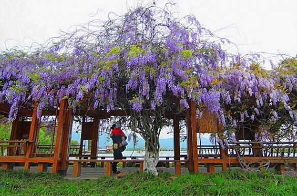 尚湖风景区旅游攻略