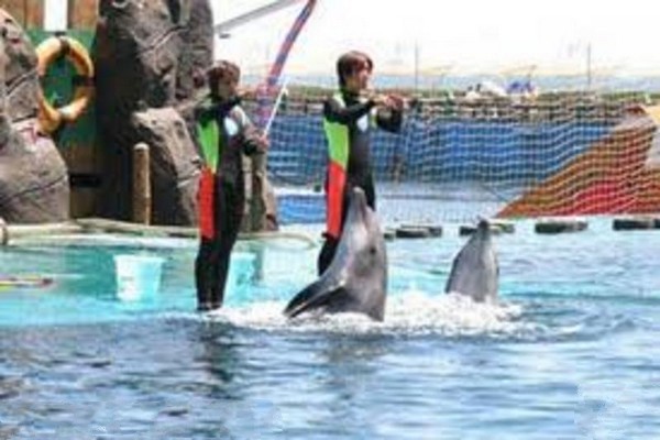 山海关乐岛海洋公园旅游攻略