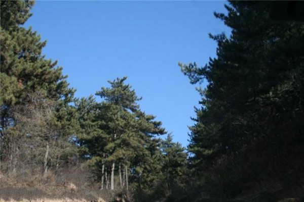 山西五鹿山国家级自然保护区旅游攻略