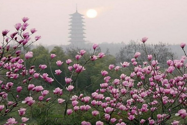 宜兴龙背山森林公园旅游攻略