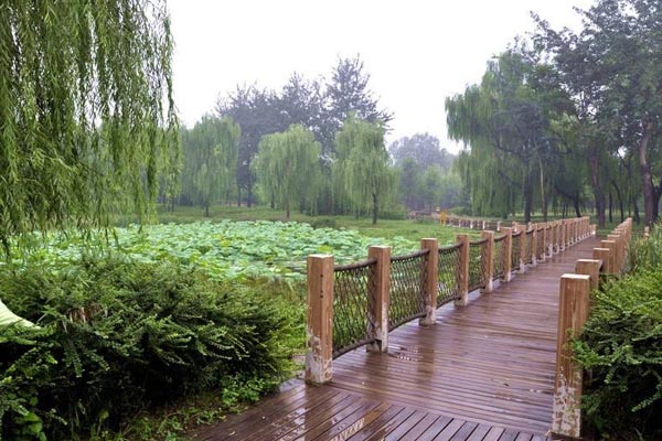 将府公园旅游攻略