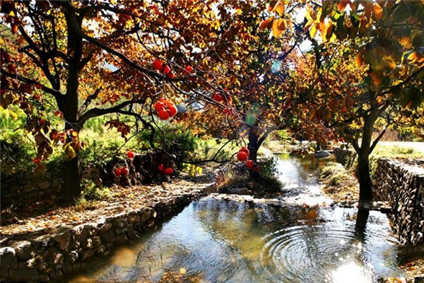山西云丘山风景区旅游攻略