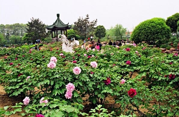 尚湖风景区旅游攻略
