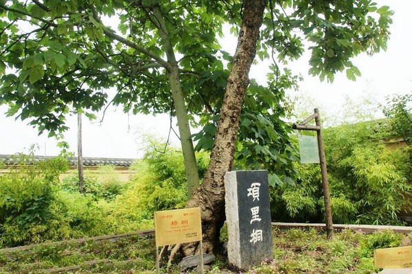 宿迁项王故里景区旅游攻略
