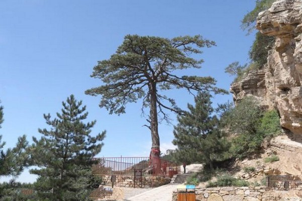 山西北岳恒山旅游区旅游攻略