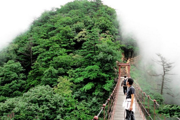 山西沁水历山国家级自然保护区旅游攻略