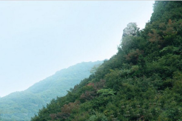 山西阳城蟒河猕猴国家级自然保护区旅游攻略