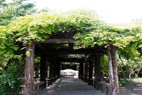 山西常家庄园旅游攻略