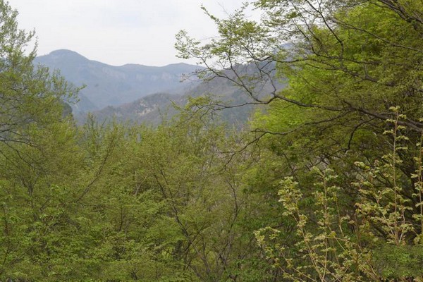 山西石膏山风景名胜区旅游攻略