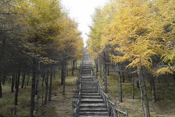 山西灵石红崖峡谷旅游攻略