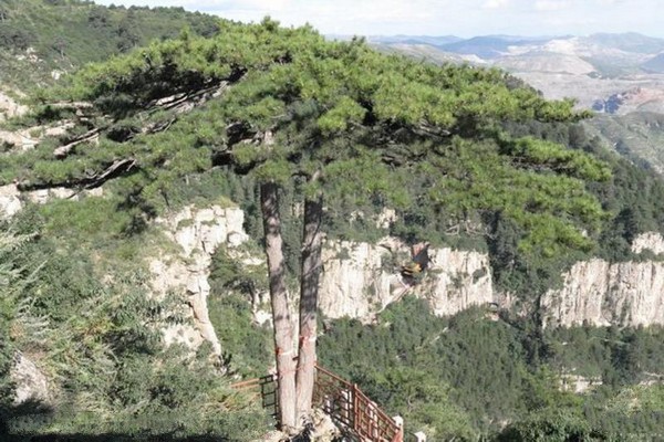 山西北岳恒山旅游区旅游攻略