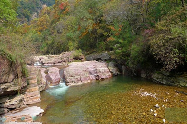 山西沁水历山国家级自然保护区旅游攻略