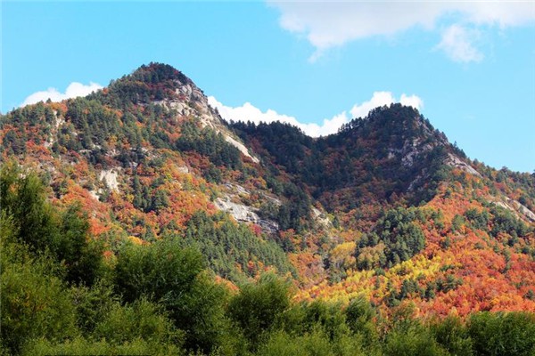 山西庞泉沟国家级自然保护区旅游攻略