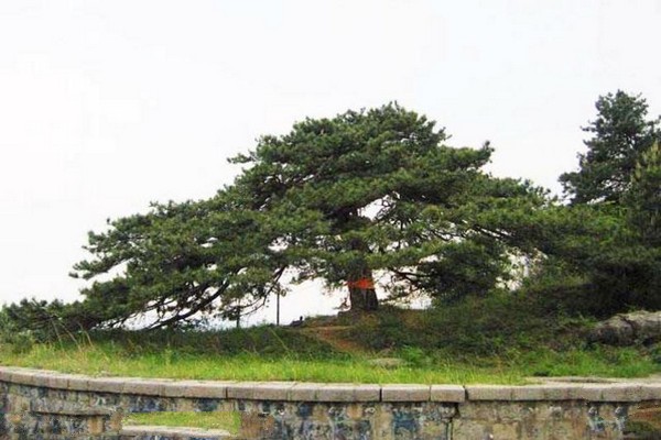 山西沁水历山国家级自然保护区旅游攻略