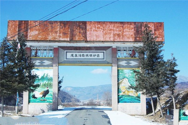 山西庞泉沟国家级自然保护区旅游攻略